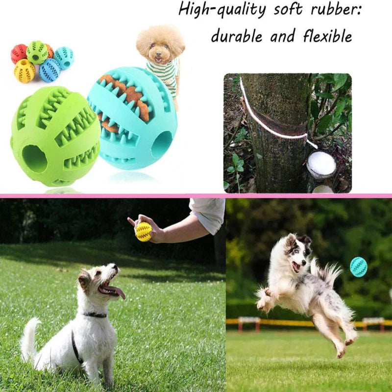 Dog Rubber Ball - Tooth Cleaning -  Food Feeder